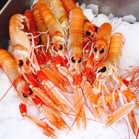 Blu Water Restaurant